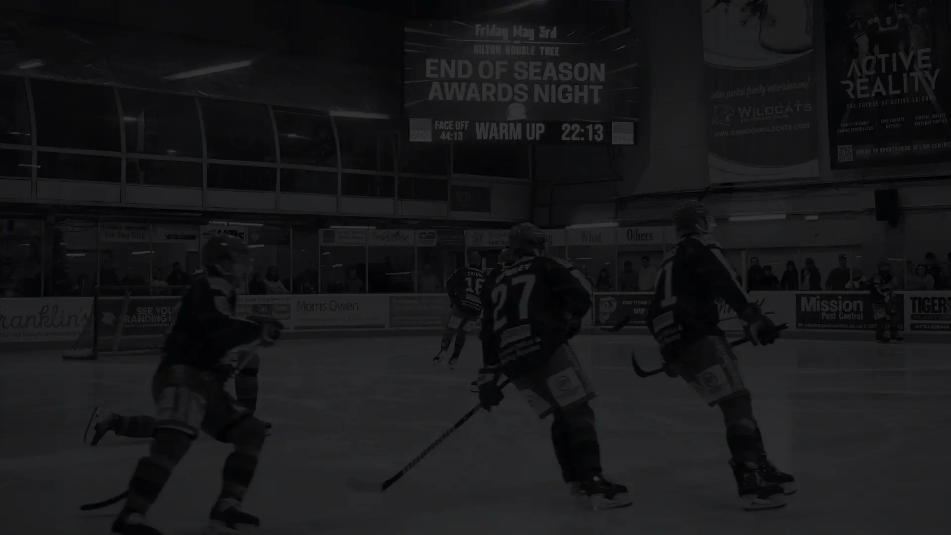 SWINDON WILDCATS background