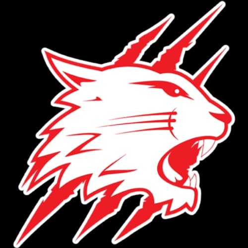 SWINDON WILDCATS